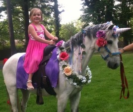Princess unicorn party